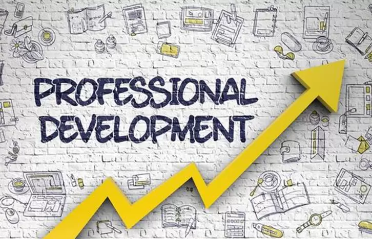 Développement professionnel, diversité, <span>équité et inclusion dans le</span>